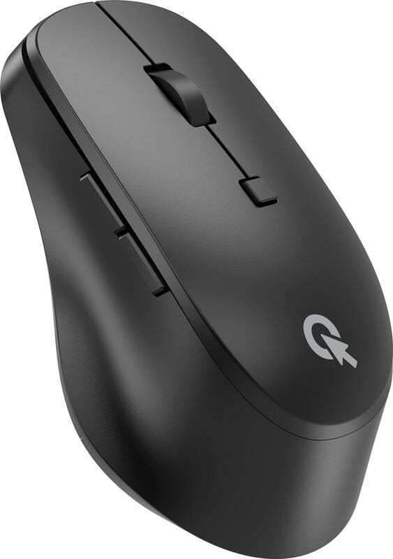 Мышь беспроводная OfficePro M305B Black
