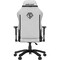 Фото - Кресло для геймеров Anda Seat Phantom 3 Size L Grey (AD18Y-06-G-F) | click.ua