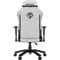Фото - Крісло для геймерів Anda Seat Phantom 3 Size L Grey (AD18Y-06-G-F) | click.ua