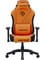 Фото - Крісло для геймерів Anda Seat Phantom Tiger Edition Size L Orange (AD18Y-14-OB-PV/C) | click.ua