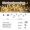 Фото - Світлодіодна гірлянда ColorWay (CW-G-200L6VC) 200LED, 6м, 8 функцій, мідна струна теплий колір 220V | click.ua
