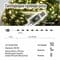 Фото - Светодиодная гирлянда ColorWay (CW-G-50L5NU) 50LED, 5м, 8 функций, теплый цвет USB | click.ua