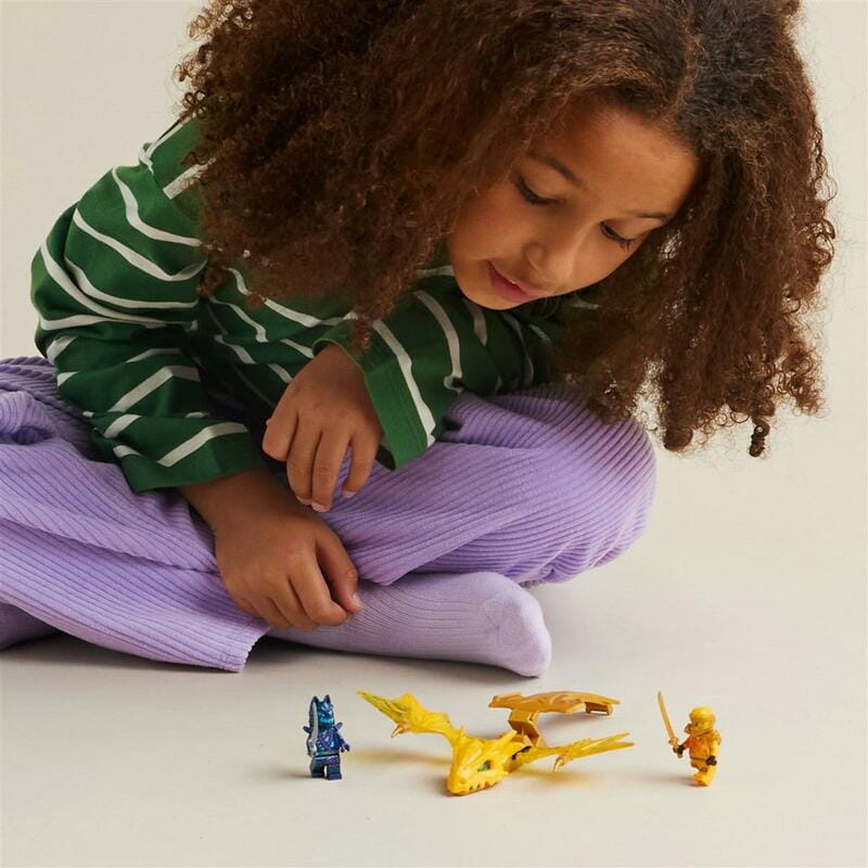 Конструктор LEGO Ninjago Атака повсталого дракона Аріна (71803)