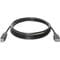 Фото - Кабель Defender USB04-06 USB2.0 AM-BM, 1.8м (83763), чорний | click.ua