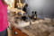 Фото - Пароочиститель Karcher SC 4 Deluxe (1.513-460.0) | click.ua