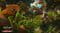 Фото - Гра The Witcher 3: Wild Hunt Complete Edition для Sony PlayStation 4, Russian version, Blu-ray (5902367640484) | click.ua