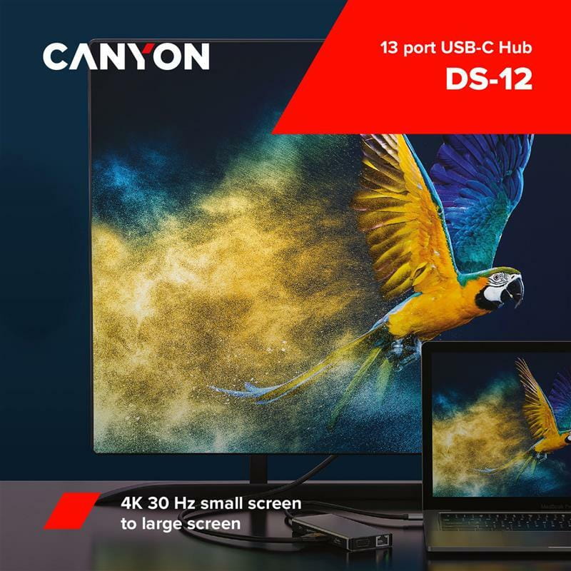Док-станция Canyon DS-12 13in1 Dark Grey (CNS-TDS12)