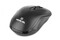 Фото - Мышь беспроводная REAL-EL RM-331W Black | click.ua