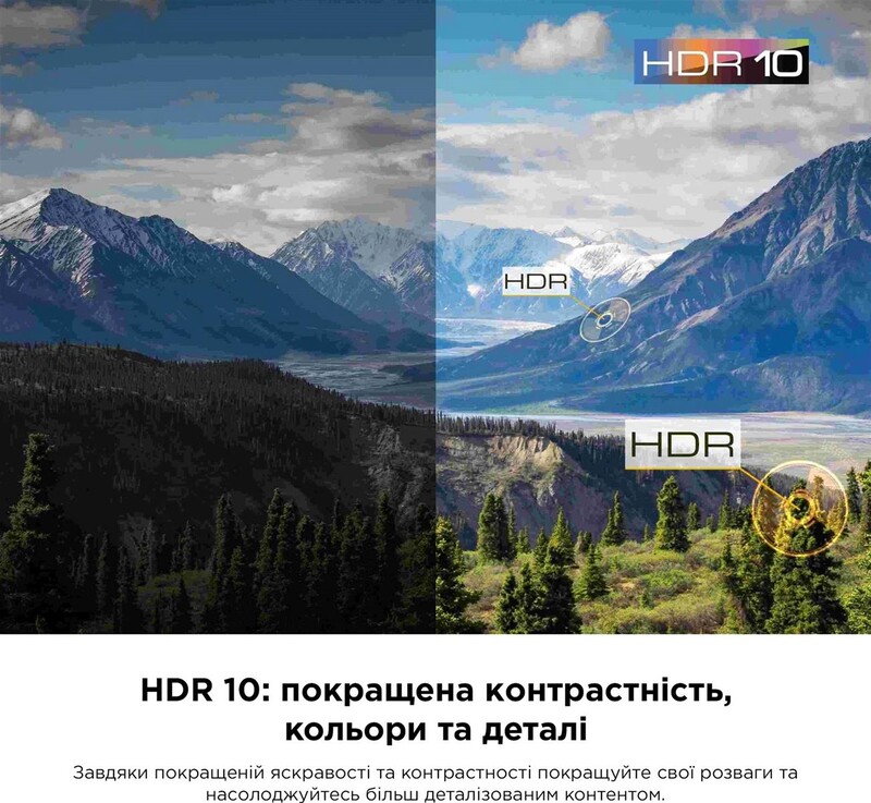 Телевизор TCL 43P655