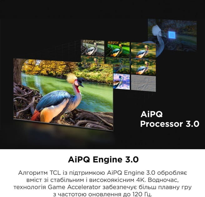 Телевизор TCL 65C645