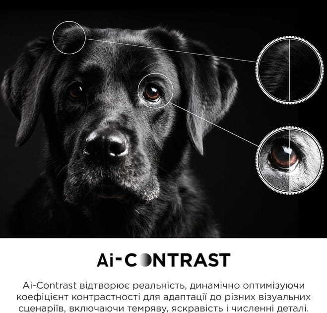 Телевизор TCL 65C645
