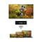 Фото - Телевизор Thomson 40QG4S14 | click.ua