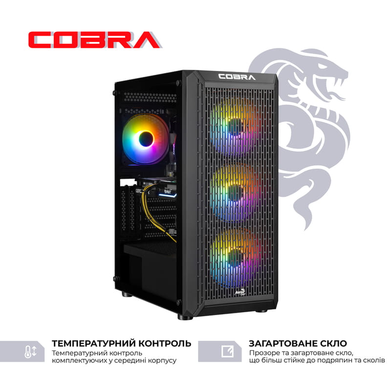 Персональный компьютер COBRA Advanced (A55.16.S10.46.19763)