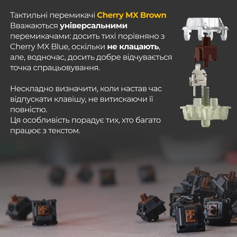 Клавіатура Ducky One 3 TKL Cherry MX Brown RGB UA USB Black (DKON2187ST-BUAPXCLAWSC1)