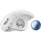 Фото - Миша бездротова Logitech Ergo M575S Off-White + Blue Ball (910-007030) | click.ua