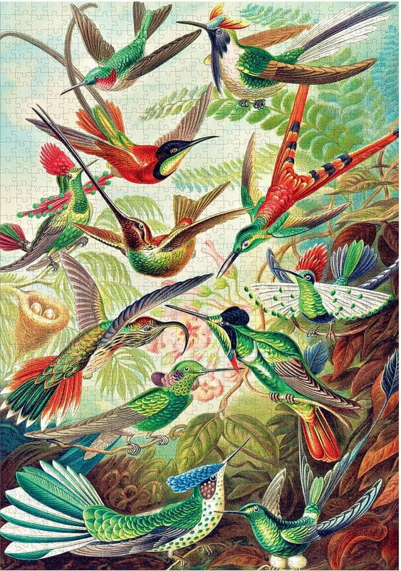 Пазл GoodLoot Imagination: Ernst Haeckel Hummingbirds (5908305246794)