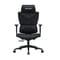 Фото - Крісло для геймерів Anda Seat X-Air Mega Size XL Mesh Space Black (AD-WY-01-BBB) | click.ua