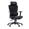 Фото - Крісло для геймерів Anda Seat X-Air Mega Size XL Mesh Space Black (AD-WY-01-BBB) | click.ua