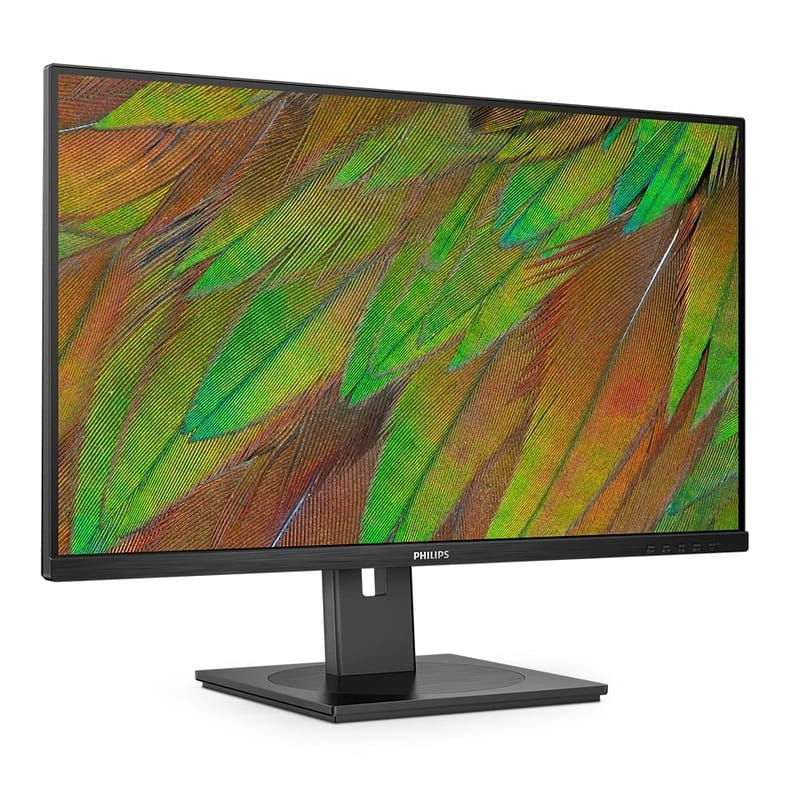 Монитор Philips 31.5" 32B1N3800/00 VA Black