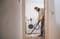 Фото - Пылесос Karcher WD 5 V-25/5/22 (1.628-300.0) | click.ua