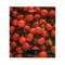 Фото - Весы кухонные Ardesto SCK-893CHERRY | click.ua