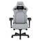 Фото - Крісло для геймерів Anda Seat Kaiser 4 Size L Grey (AD12YDDC-L-20-G-CF) | click.ua