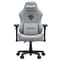 Фото - Крісло для геймерів Anda Seat Phantom 3 Pro Size L Fabric Grey (AD18YC-06-G-F) | click.ua