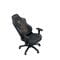 Фото - Крісло для геймерів Anda Seat Phantom Tiger Edition Size L Black (AD18Y-14-B-PV/C) | click.ua