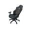 Фото - Крісло для геймерів Anda Seat Phantom Tiger Edition Size L Black (AD18Y-14-B-PV/C) | click.ua