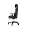 Фото - Крісло для геймерів Anda Seat Phantom Tiger Edition Size L Black (AD18Y-14-B-PV/C) | click.ua