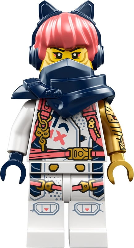 Конструктор LEGO Ninjago Молодой дракон Рию (71810)