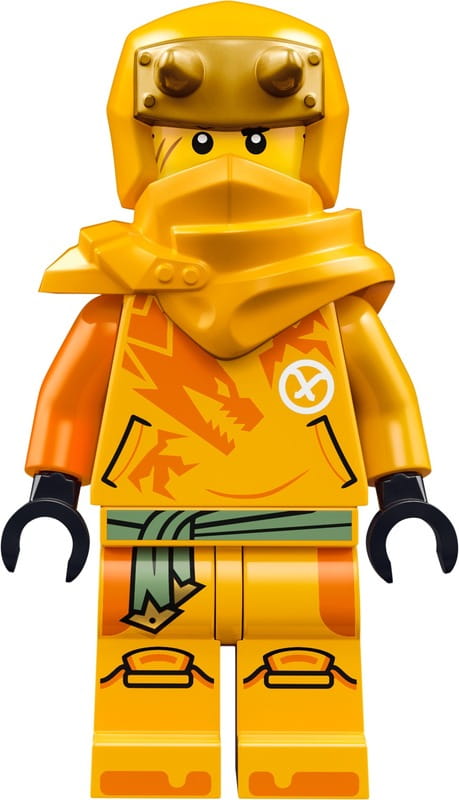 Конструктор LEGO Ninjago Молодой дракон Рию (71810)