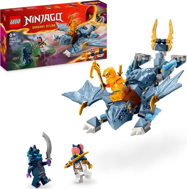 Конструктор LEGO City Ninjago Молодий дракон Рію (71810)