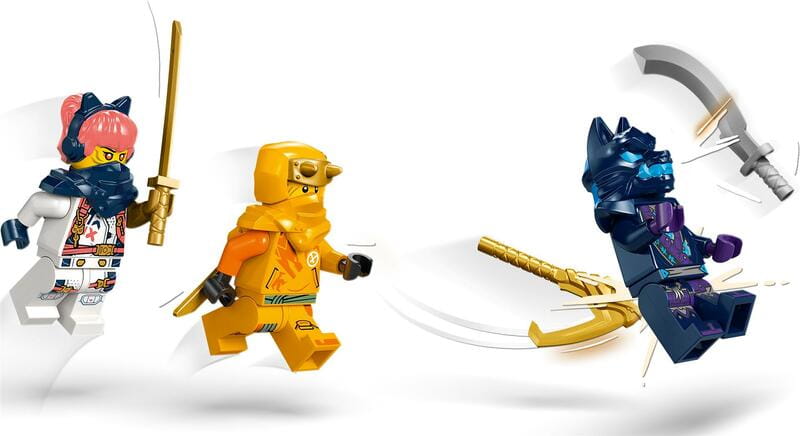 Конструктор LEGO City Ninjago Молодий дракон Рію (71810)