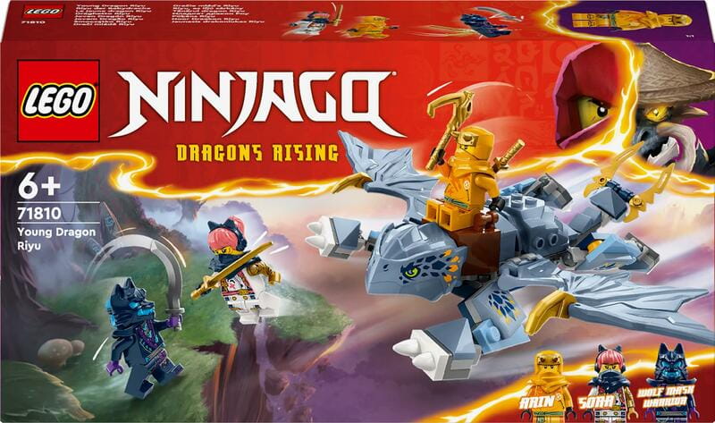 Конструктор LEGO Ninjago Молодой дракон Рию (71810)