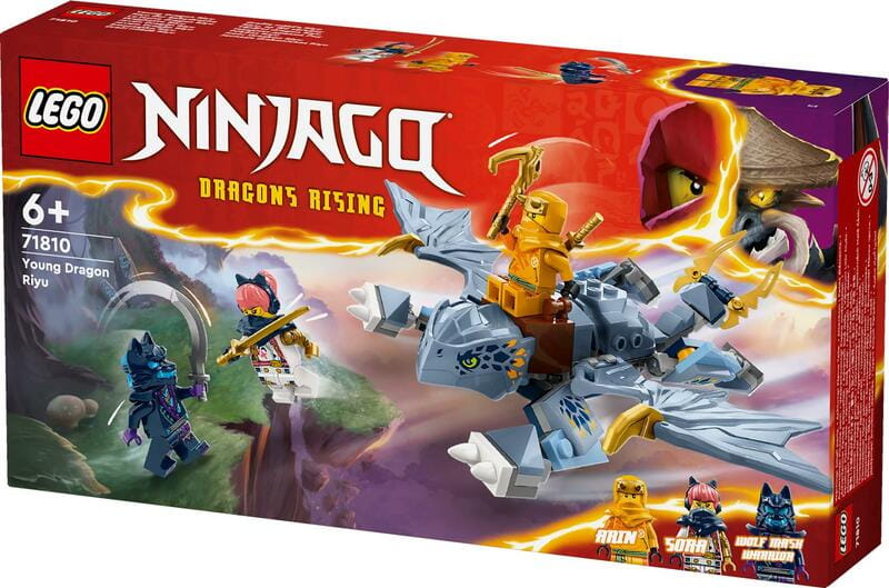 Конструктор LEGO City Ninjago Молодий дракон Рію (71810)