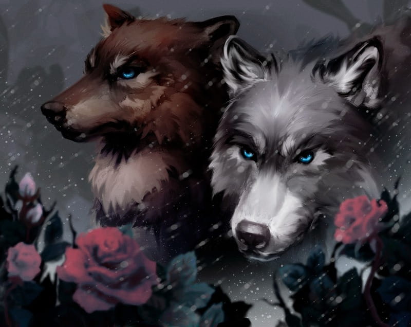 Кровь и пепел. Книга 2. Королевство плоти и огня (Подарочное издание) / Дженнифер Л. Арментраут