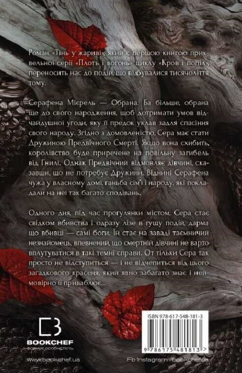 Плоть и огонь. Книга 1: Тень в жару / Дженнифер Л. Арментраут