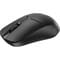 Фото - Миша бездротова Rapoo 1510 Wireless Black | click.ua
