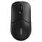 Фото - Миша бездротова Rapoo 1510 Wireless Black | click.ua