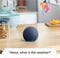 Фото - Акустическая система Amazon Echo Dot (5th Gen) Smart Speaker with Alexa Charcoal_US | click.ua