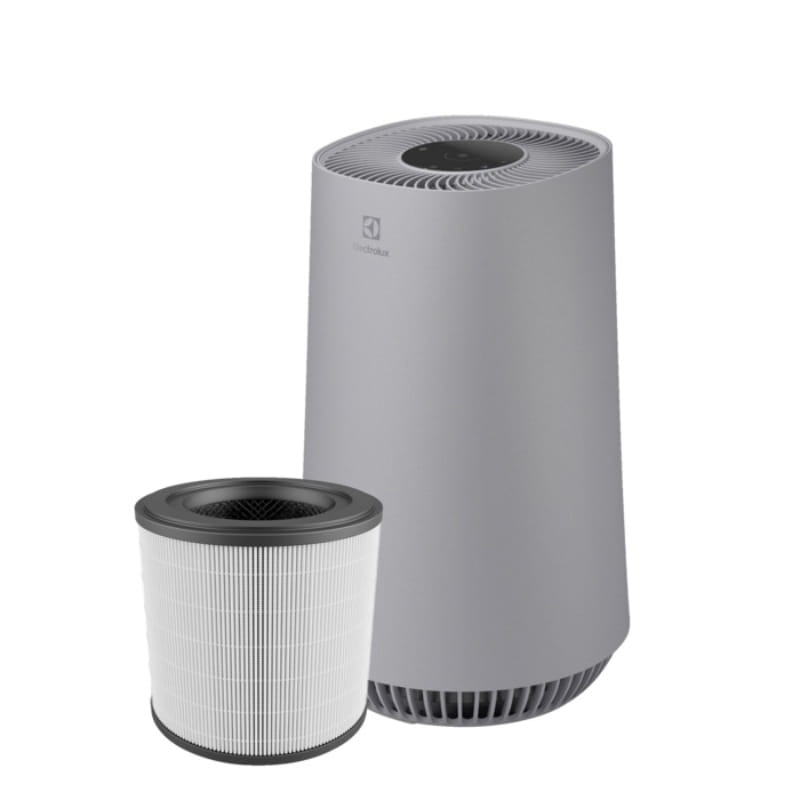 Фільтр для очищувача повітря Electrolux Pure 500 EFFBRZ2 (900923216)