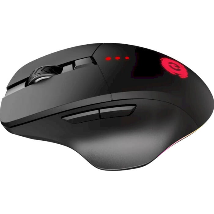 Мышь беспроводная Canyon CND-SGMW13 Black USB
