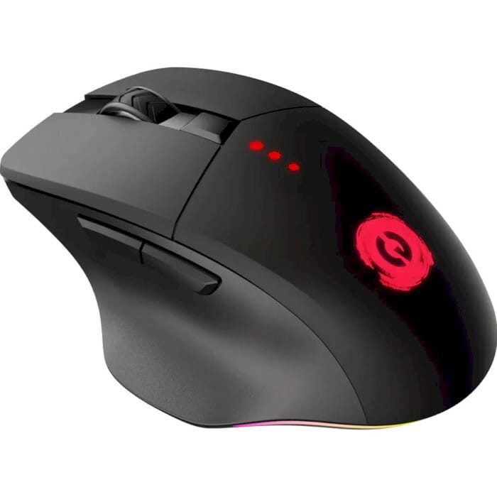 Мышь беспроводная Canyon CND-SGMW13 Black USB