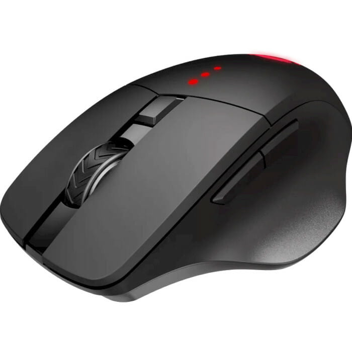 Мышь беспроводная Canyon CND-SGMW13 Black USB