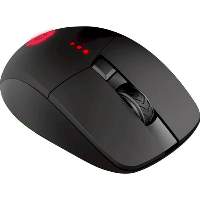 Мышь беспроводная Canyon CND-SGMW13 Black USB