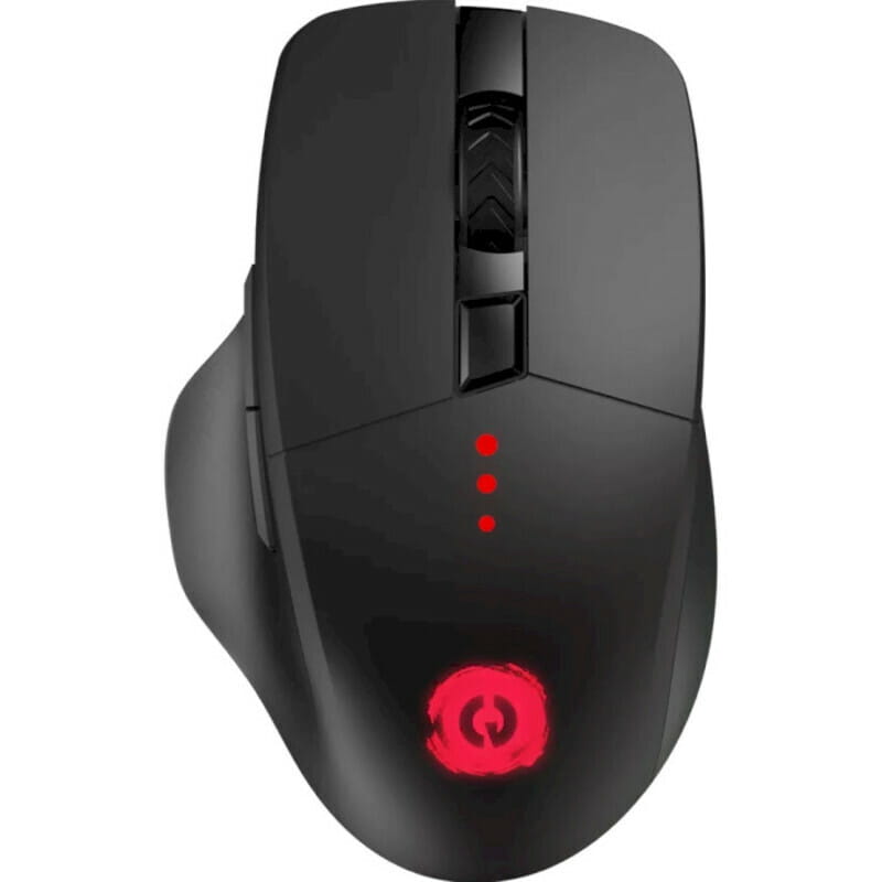 Мышь беспроводная Canyon CND-SGMW13 Black USB