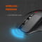 Фото - Мышь беспроводная Canyon CND-SGMW13 Black USB | click.ua