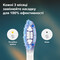 Фото - Насадка для зубной щетки Philips HX9052/87 | click.ua