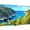 Фото - Телевизор Thomson Google TV 75" UHD 75UG5C14 | click.ua